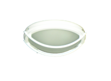 Pure White