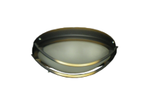 Tiger's Eye