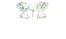 45 4-Light Adjustable Fitter (Glass Sold Separately)