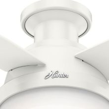 Hunter  44" Dempsey Low Profile with Light Fresh White Ceiling Fan with Light with Handheld Remote, Model 59244