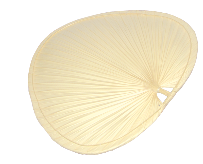 Picture of 18" Natural Palm Blades (Set of 4)