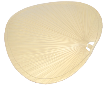 Picture of 22'' PALM BLADES NATURAL (SET OF 4)