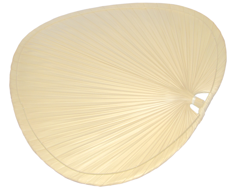 Picture of 22'' PALM BLADES NATURAL (SET OF 4)