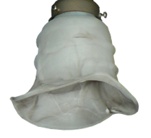 038 Mocha Scavo wCoil