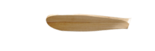 Maple 