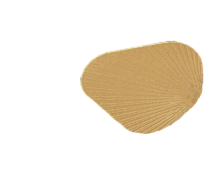  Leaf Tan Blades