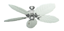 Picture of Raindance