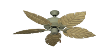 Picture of Raindance