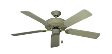 Picture of Raindance