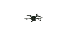 Picture of Twin Star III Nautical