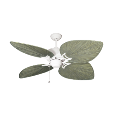 Picture of 66" Fusion Wi-Fi