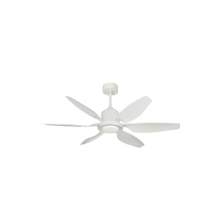 Picture of Palm Breeze