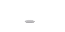 Picture of Renaissance