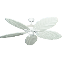 Picture of TriStar II