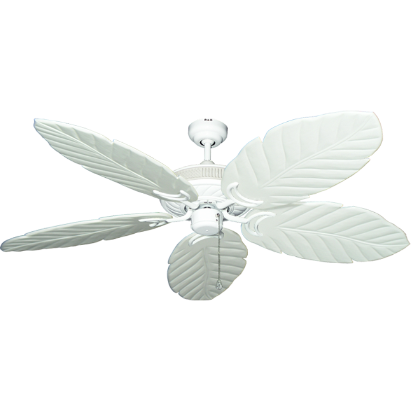 Picture of TriStar II