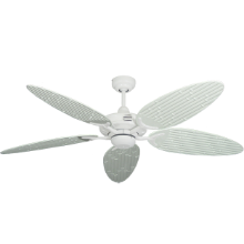 Picture of Coastal Air Wi-Fi