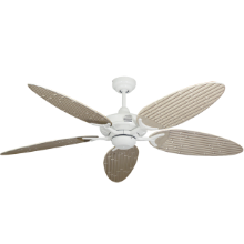 Picture of Coastal Air