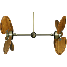 Picture of 50" Twin Star III