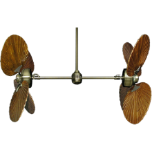 Picture of 50" Twin Star III