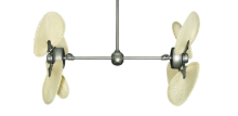 Picture of 50" Twin Star III Palm
