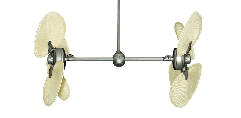 Picture of 50" Twin Star III Palm