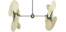 Picture of 50" Twin Star III Palm