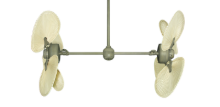 Picture of 50" Twin Star III Palm