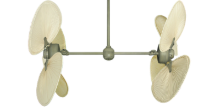 Picture of 50" Twin Star III Palm