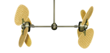 Picture of 50" Twin Star III Palm