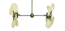 Picture of 50" Twin Star III Palm