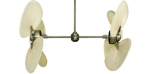 Picture of 50" Twin Star III Palm