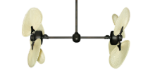 Picture of 50" Twin Star III Palm