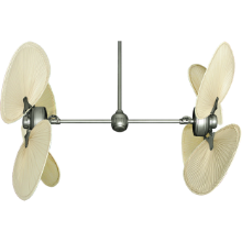 Picture of 50" Twin Star III Palm