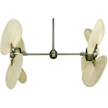Picture of 50" Twin Star III Palm