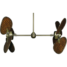 Picture of 50" Twin Star III Palm