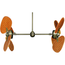 Picture of 50" Twin Star III Palm